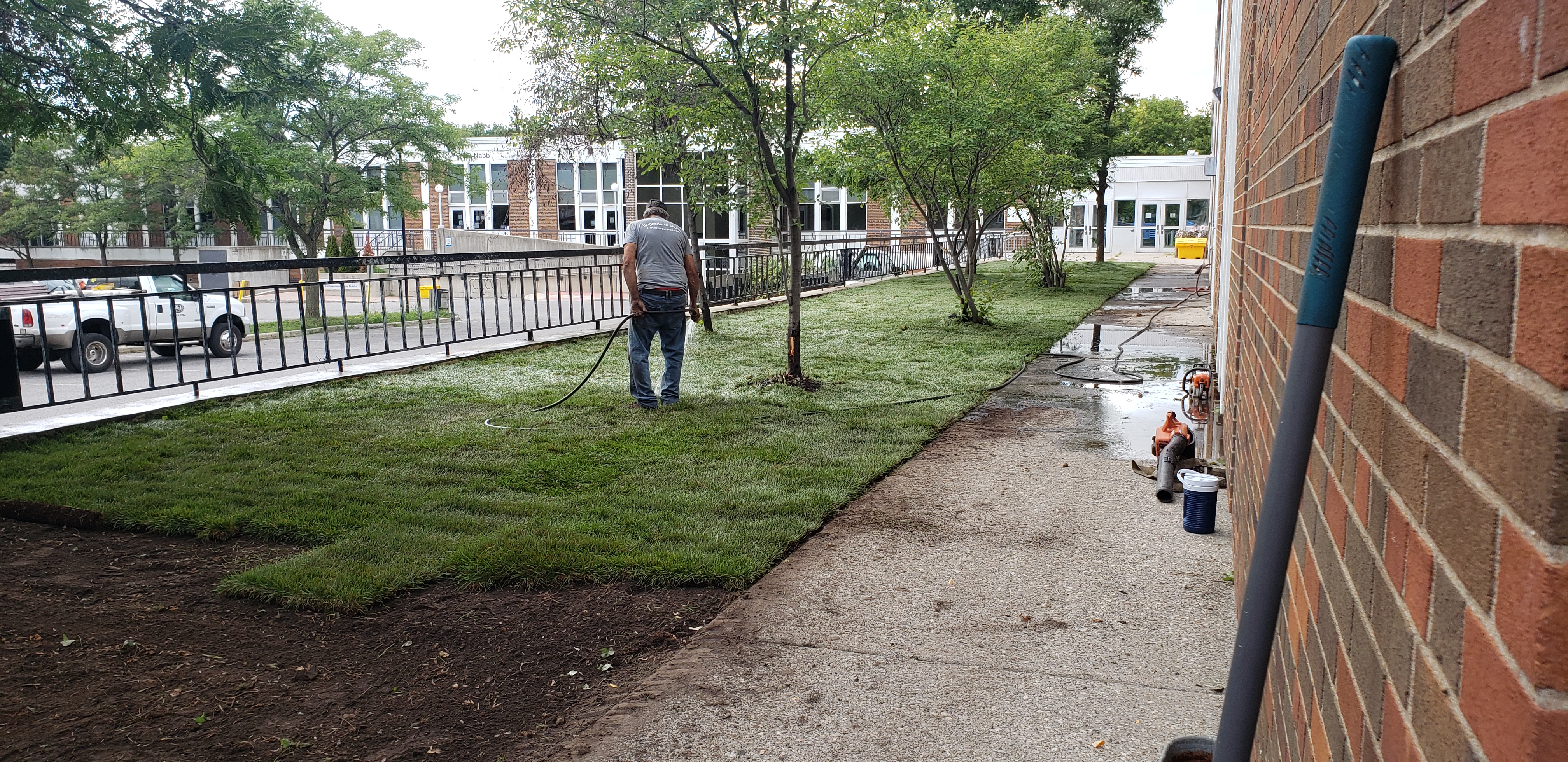 More sod installation